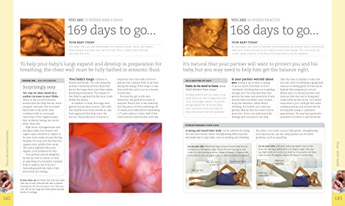 Pregnancy Day By Day - An Illustrated Daily Countdown to Motherhood, from Conception to Childbirth