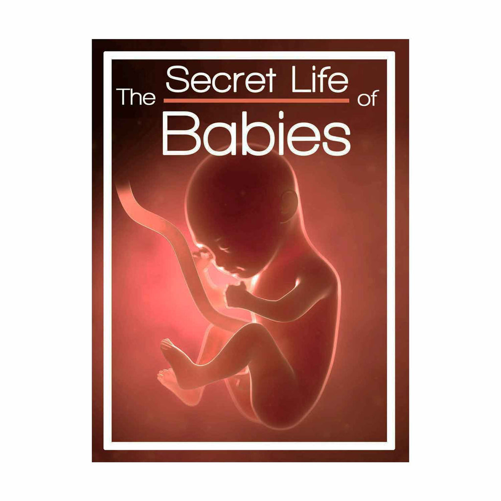 The Secret Life of Babies Documentary